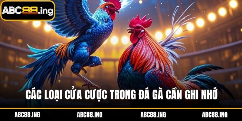 Các loại cửa cược trong đá gà cần ghi nhớ