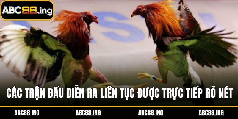 Các trận đấu diễn ra liên tục được trực tiếp rõ nét