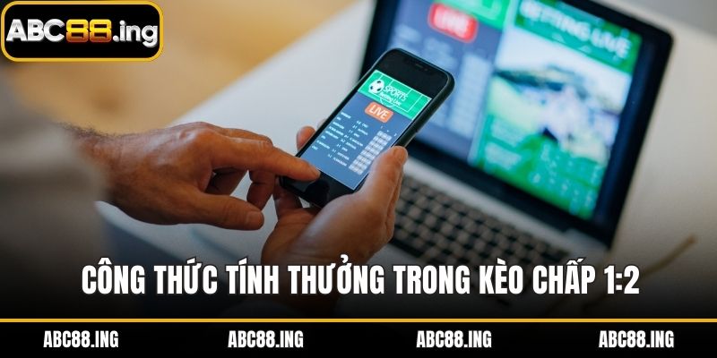 Công thức tính thưởng trong kèo chấp 1:2