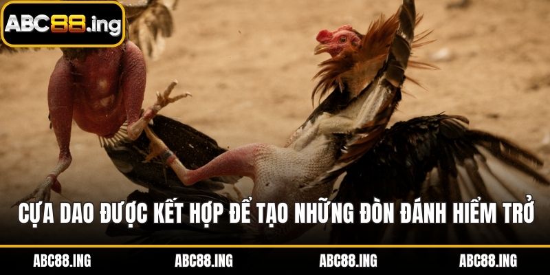 Cựa dao được kết hợp để tạo những đòn đánh hiểm trở