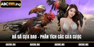 đá gà cựa dao
