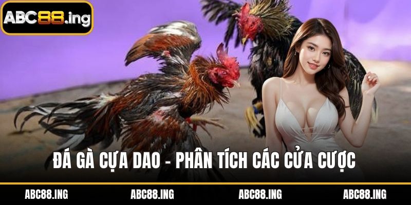 đá gà cựa dao