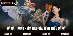 đá gà thomo