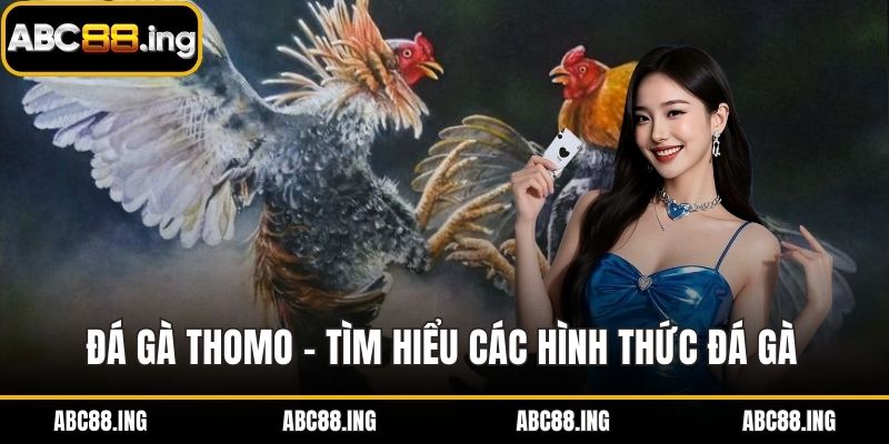 đá gà thomo