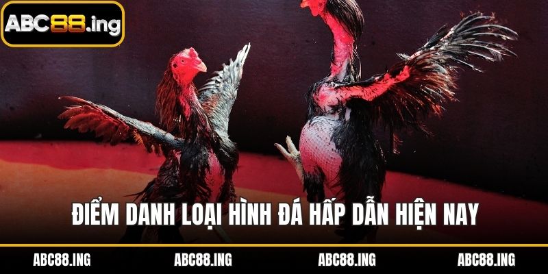 Điểm danh loại hình đá hấp dẫn hiện nay