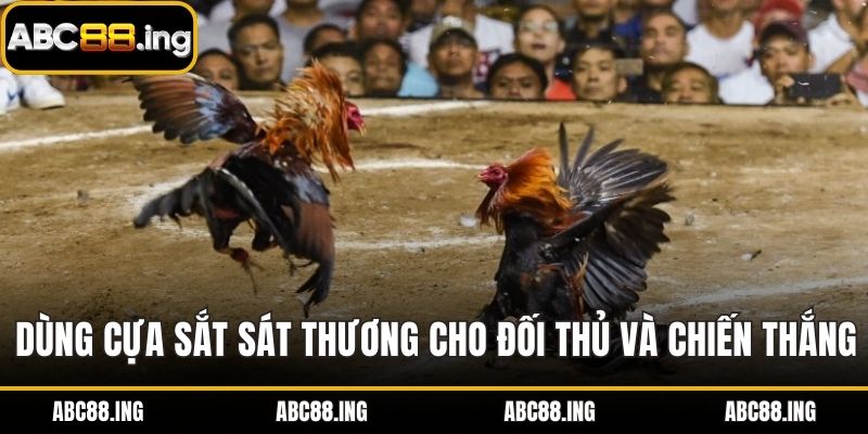 Dùng cựa sắt sát thương cho đối thủ và giành chiến thắng