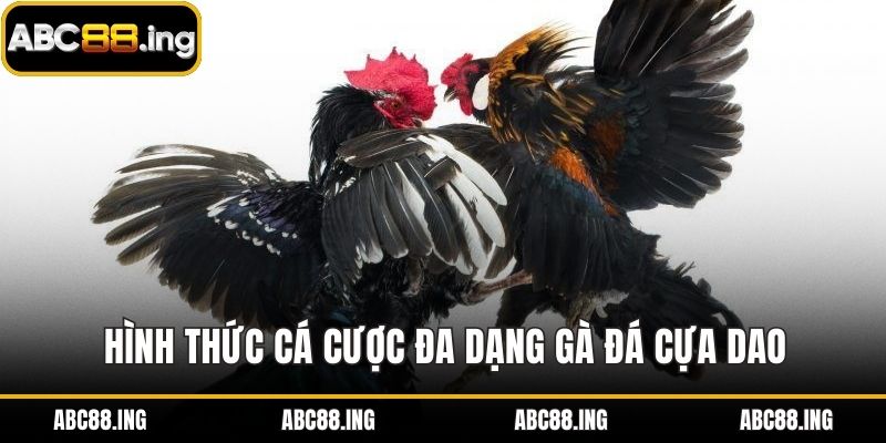 Hình thức cá cược đa dạng gà đá cựa dao