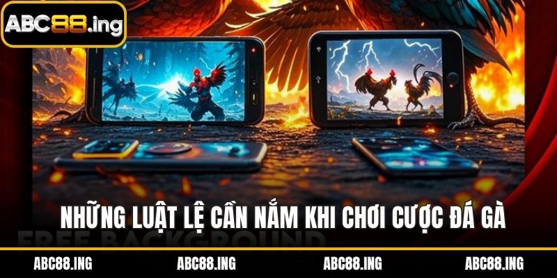 Những luật lệ cần nắm khi chơi cược đá gà