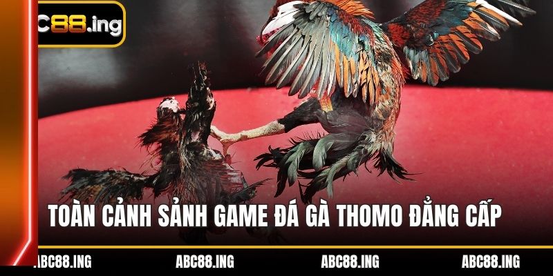 Toàn cảnh sảnh game đá gà thomo đẳng cấp 